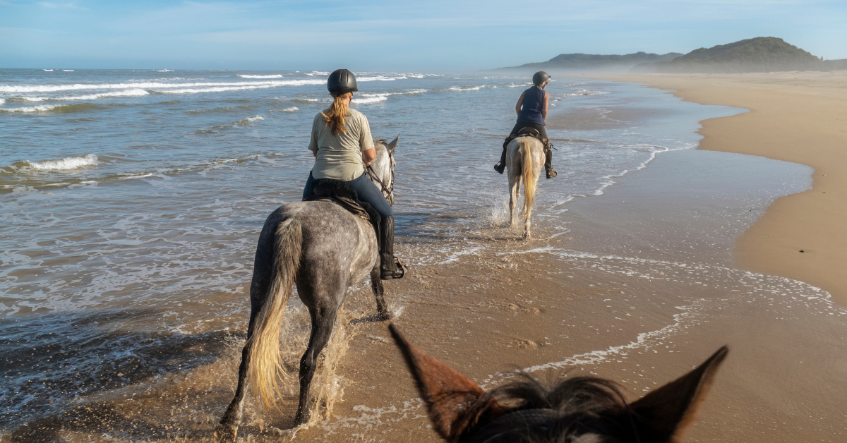 9 of the Best 2022 Beach Horseback Riding Destinations in the United